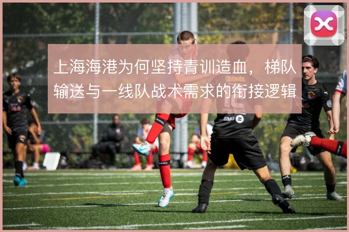 上海海港为何坚持青训造血，梯队输送与一线队战术需求的衔接逻辑